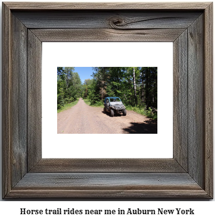 horse trail rides near me in Auburn, New York